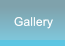 Gallery Gallery